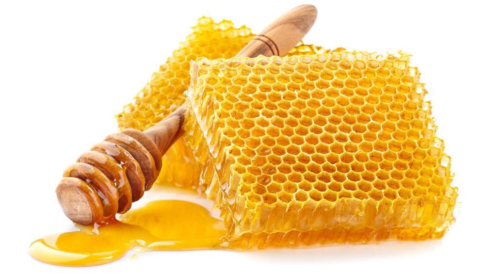 Aloe vera-honey combination may reduce tumor progression