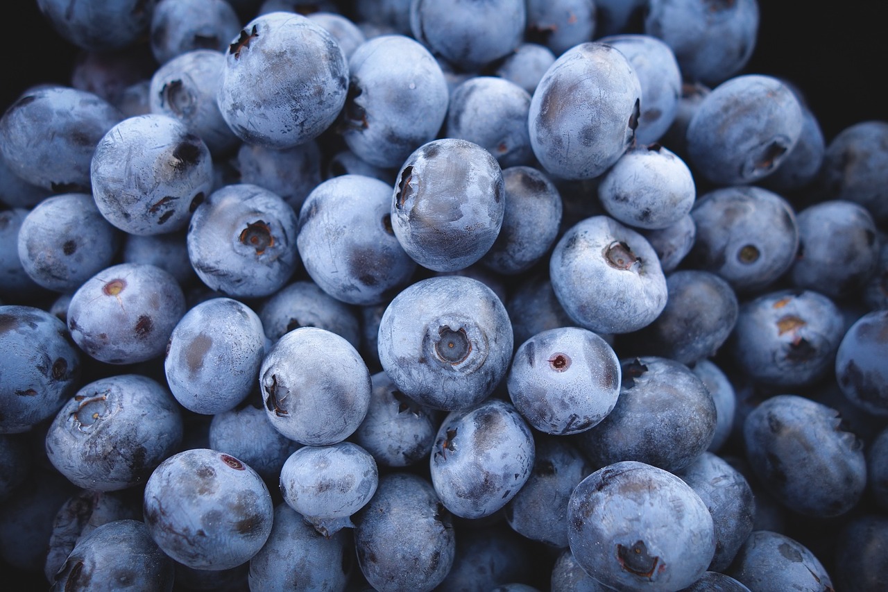 The mighty BLUEBERRY, a superfruit with anticancer properties