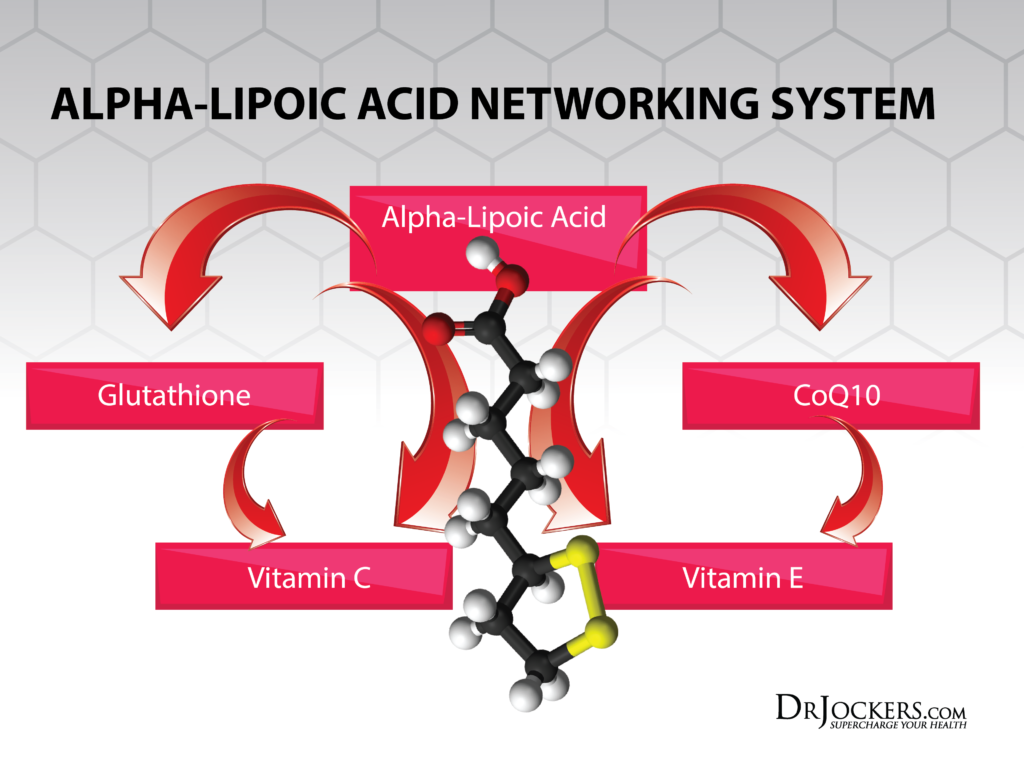 AlphaLipoicAcid_Networking-1024x768