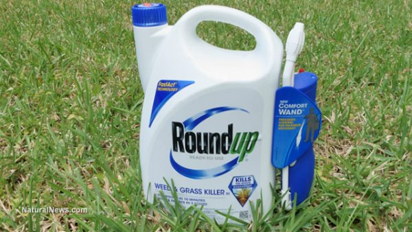 ISIS attacks on America are nothing compared to Monsanto’s mass poisoning with glyphosate