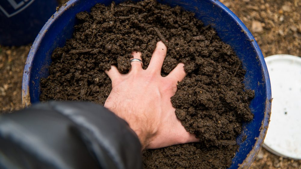 8 ways to make healthy organic soil for your garden