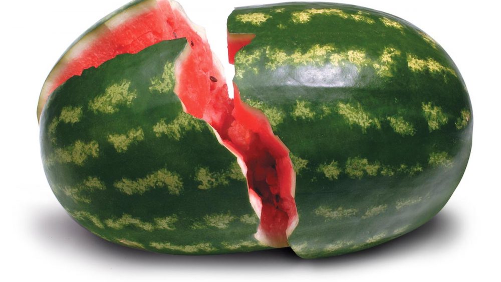 Make a thirst-quenching super juice from your own watermelon patch this summer