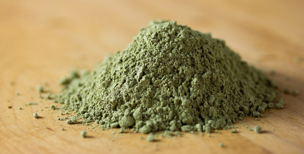 Where to buy the best, organic hemp protein powder