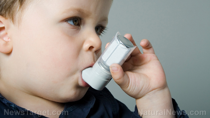 Probiotics help reduce risk of asthma in children