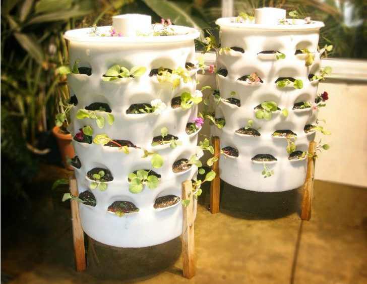 Dramatically expand your harvest with vertical gardening: 13 reasons why you should do it