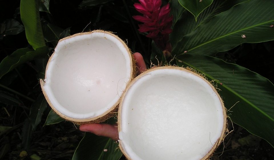 Coconut Oil Pulling Benefits & How-to Guide