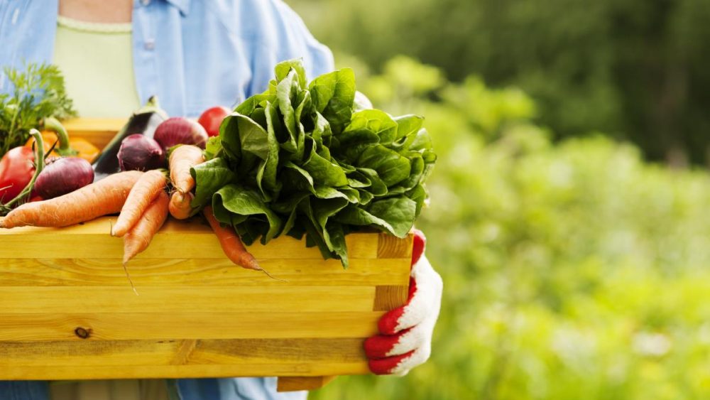 Improve cognition in old age with these powerful vegetable compounds