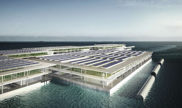 Floating farm of the future to produce 20 tons of vegetables a day