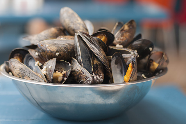 WARNING: Shellfish are now testing positive for opioids