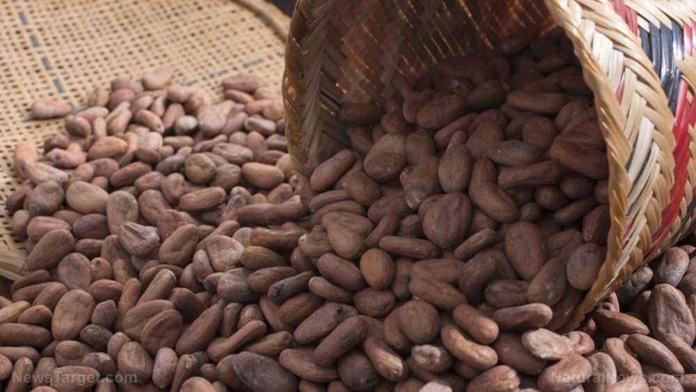Global chocolate makers promise to source only ethical cocoa by 2020, but data show that this is unlikely to happen