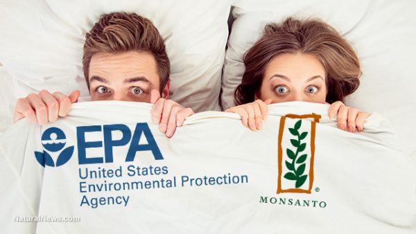 Monsanto “scientists” have been releasing dubious studies since the 1970s and the EPA has let much of it slide — why are we only learning about this now?