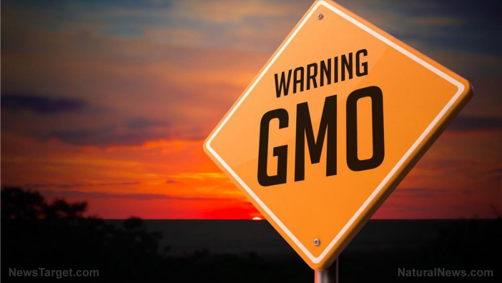 Science-based GMO website filters out corporate propaganda