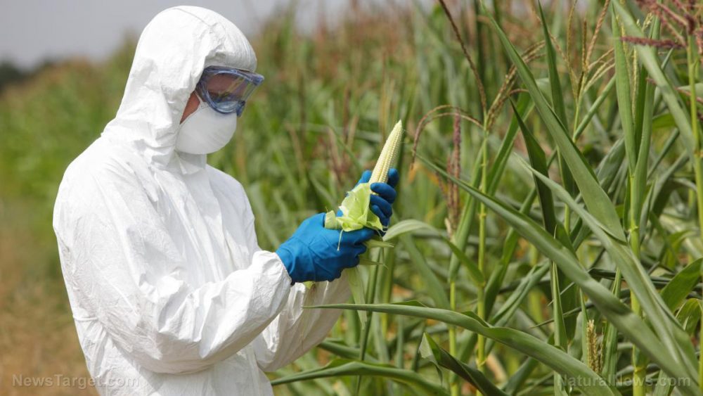 Fake Food: GMO crops have been a massive failure on every level