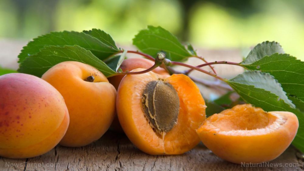 Peaches: The health benefits of the sweet and sour fruit