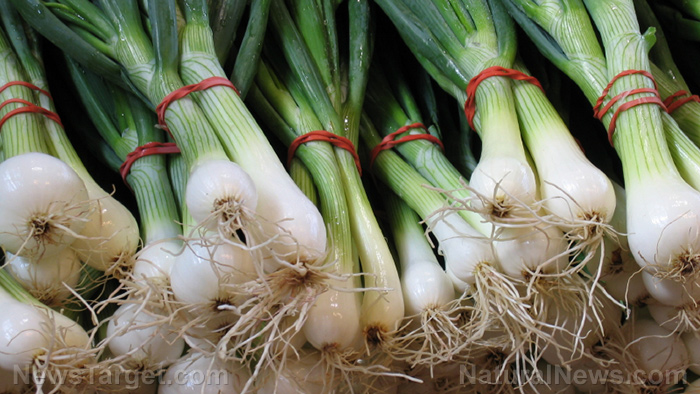 STUDY: The Welsh onion may be useful for weight loss