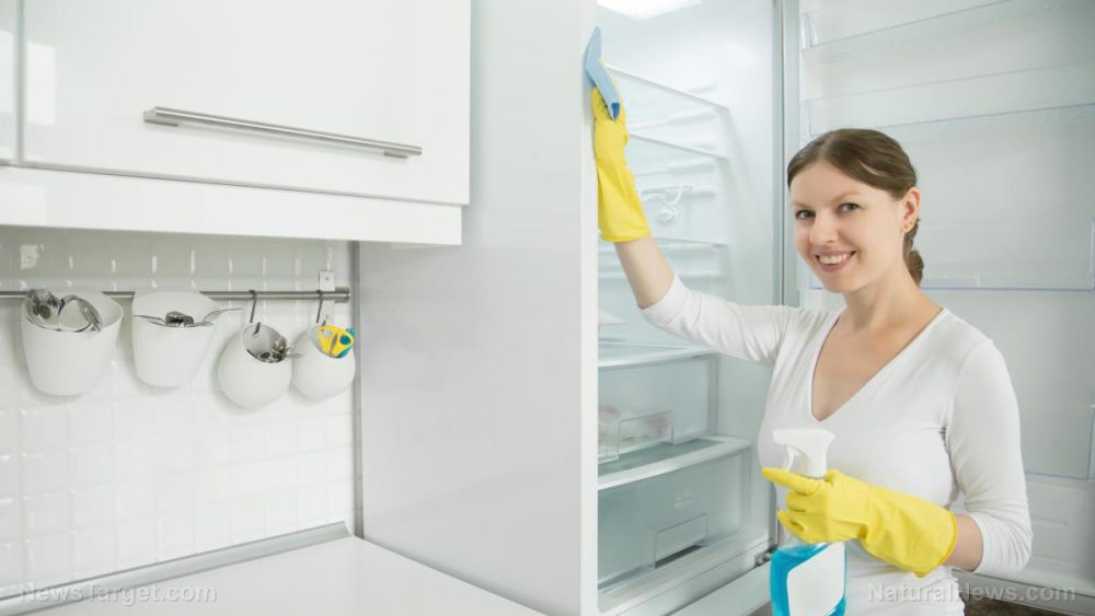 Just how clean are your kitchen towels? New research suggests that they may be a possible vector for food poisoning