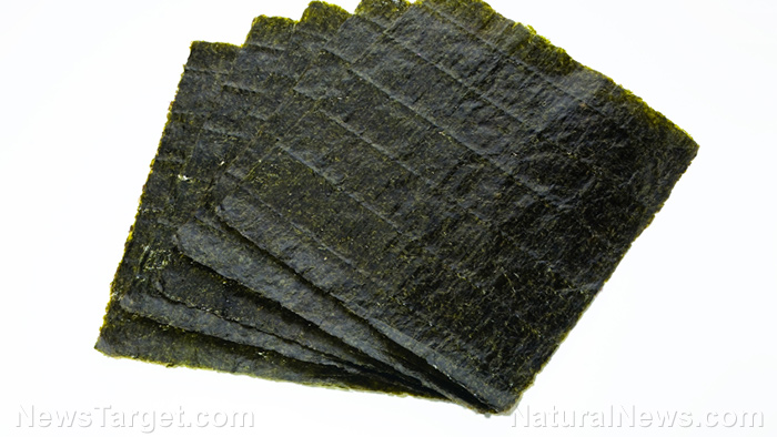 Study: You can reshape your gut microbiome for the better by eating more nori