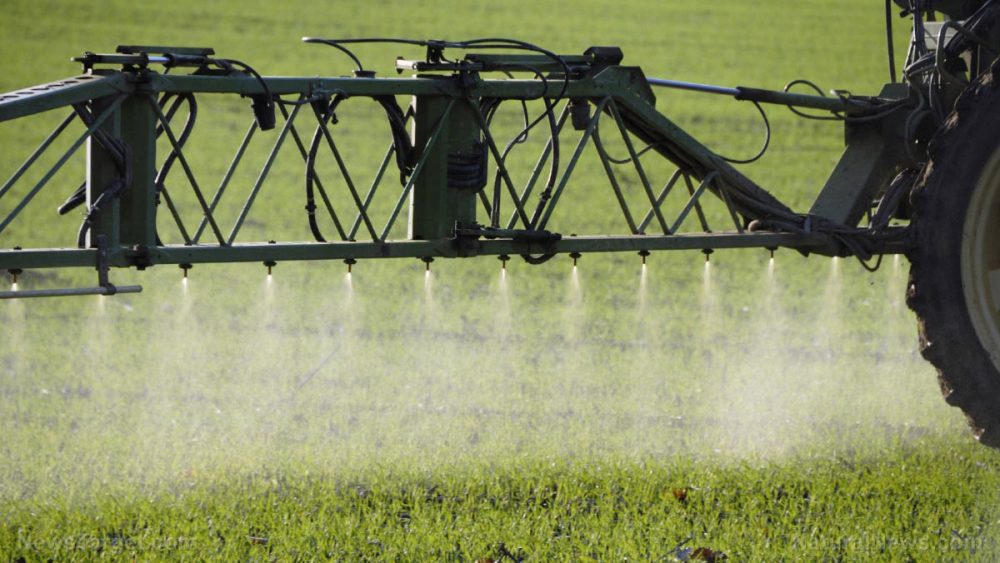Third World farmers are committing suicide by consuming toxic pesticides