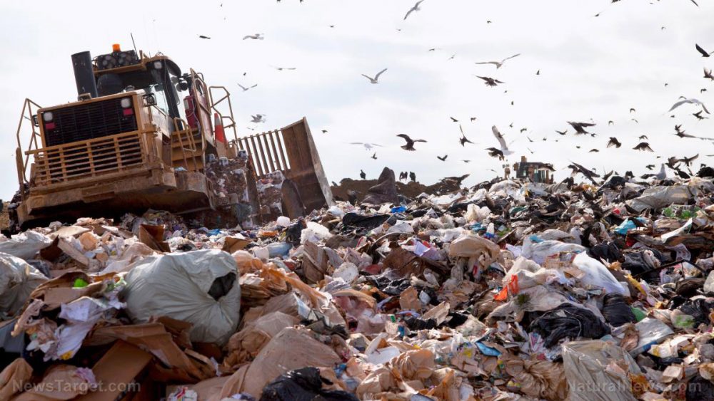 Almost 40 percent of U.S. food production goes to waste… here’s how we can do better