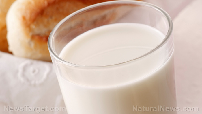Drink up: The risks of full-fat milk are MYTH
