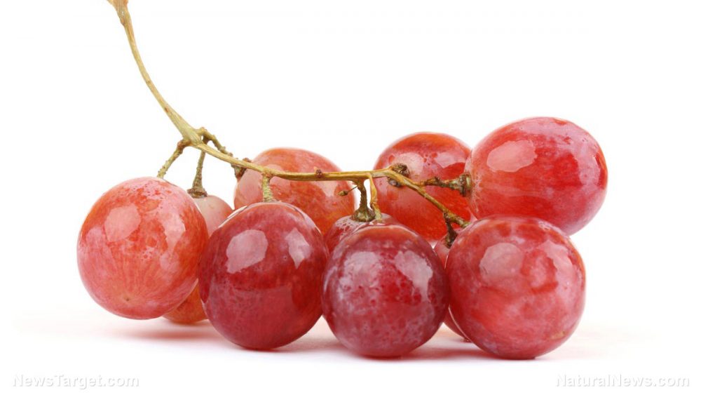 Resveratrol compound in grapes found to kill cancer stem cells