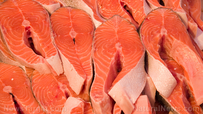 Half of farmed salmon found to be DEAF due to toxic effects of confined aquaculture