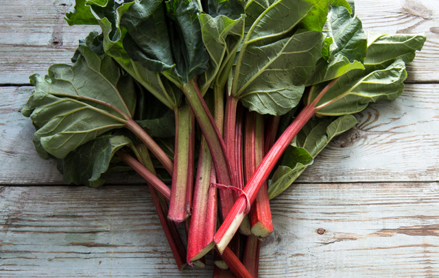 China research: Rhubarb relieves gastrointestinal dysfunction in critically ill patients without any side effects