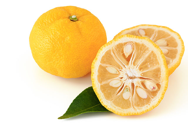 Symptoms of hypercholesterolemia alleviated with yuzu
