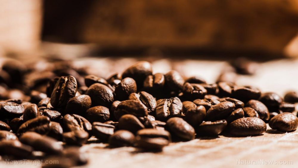 Predicted decline in coffee production may be thwarted — if they save the bees first