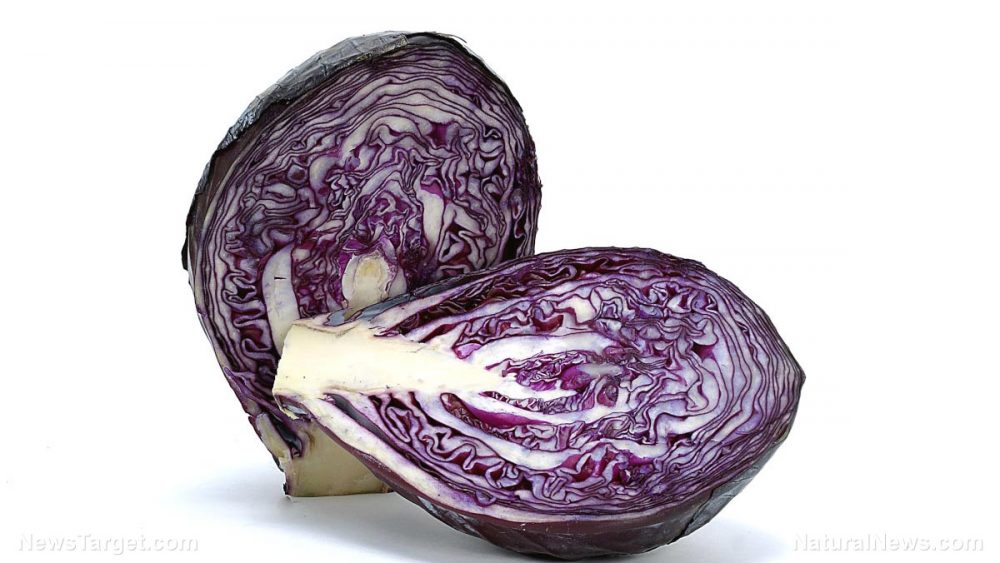 Red cabbage reduces age-related oxidative stress and inflammation