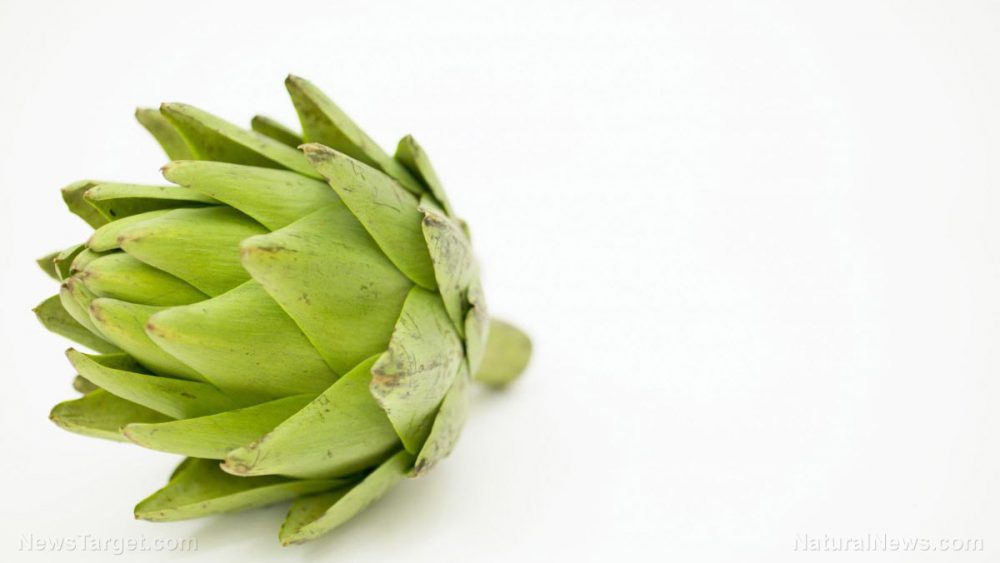 Artichoke extract found to lower high cholesterol and protect the liver from alcohol damage
