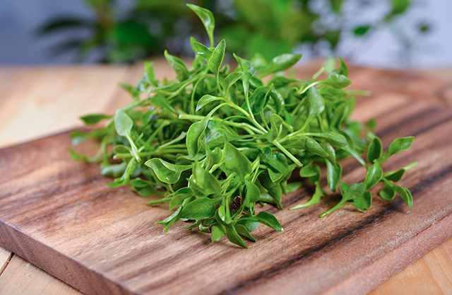 Eat more cress for a healthier liver