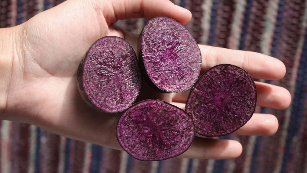 Purple potatoes may cut your risk of developing colon cancer and inflammatory bowel diseases, new research says
