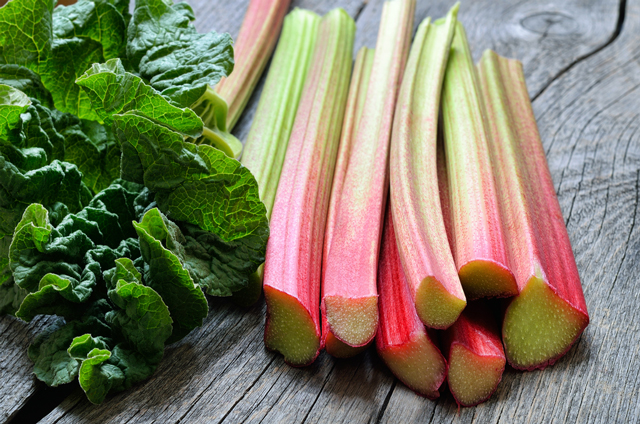 Rhubarb shows promise for treating chronic liver disease