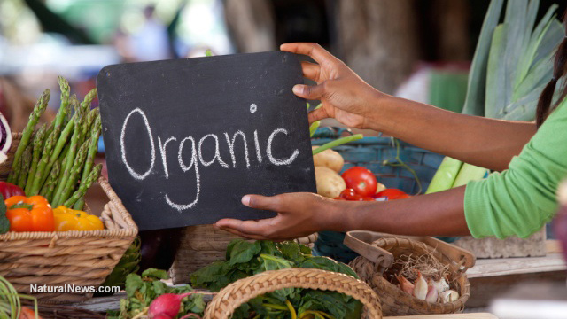Organic food isn’t just better for you – it tastes better too