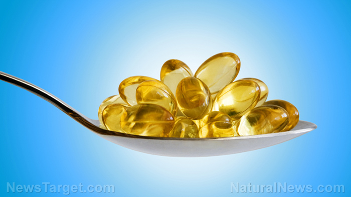 Halt mental decline with Omega-3s and B vitamins: Researchers found that essential fatty acids boost the benefits of Bs