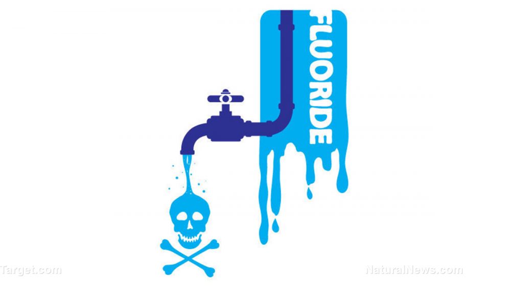 ANOTHER study confirms the detrimental effects of water fluoridation on the IQs of children