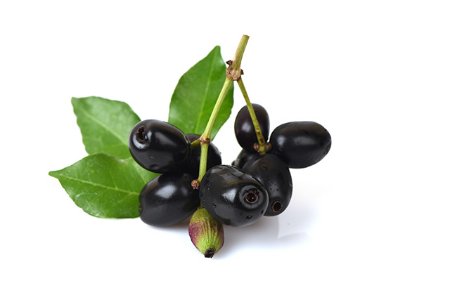 The Syzygium cumini prevents oxidative stress caused by a high-fat diet