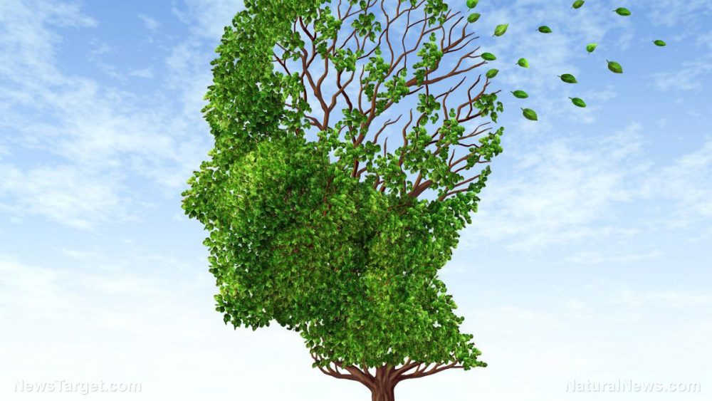 Researchers may have found a link between Alzheimer’s disease and a common class of herbicides
