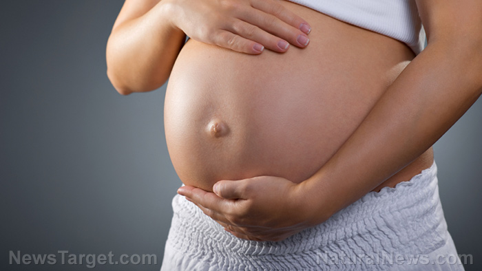 Go organic, inside and out while pregnant: Chemicals in personal care products can affect the development of your baby