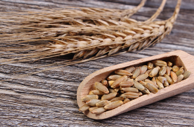 Do you get enough whole grains? Eat more to lose weight, feel fuller longer, reduce inflammation