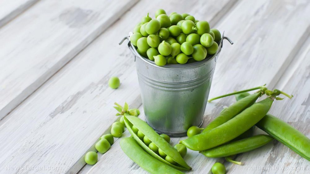 A protein found in the pea effectively kills off common bacteria strains