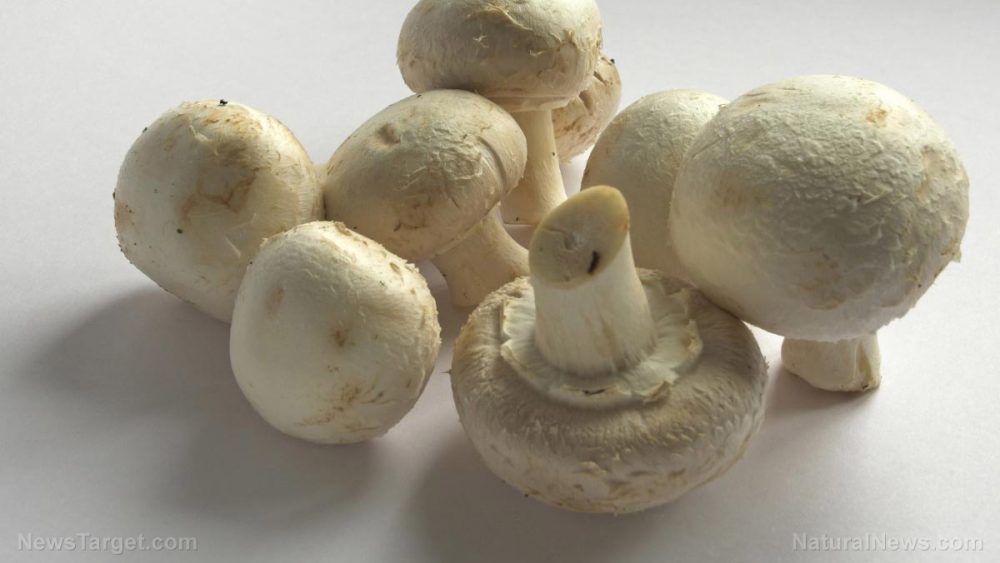 Eating mushrooms every day fights chronic disease: Button mushrooms are high in antioxidants, researchers discover