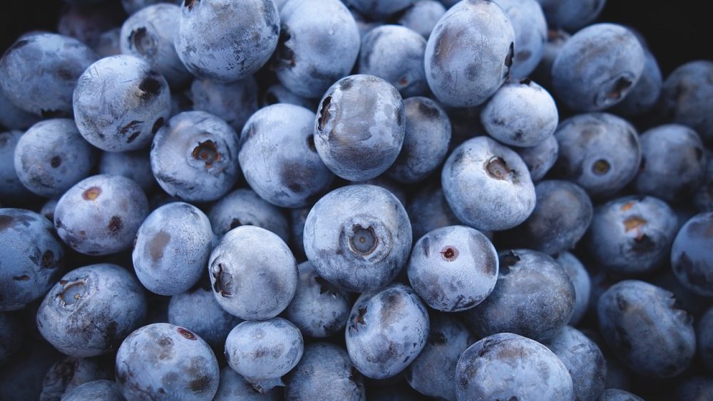 Blueberry juice concentrate found to “supercharge” aging brains