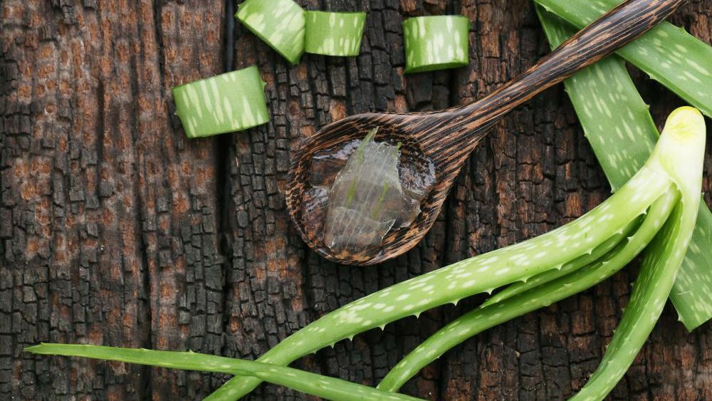 Truly a superfood: Aloe vera treats constipation