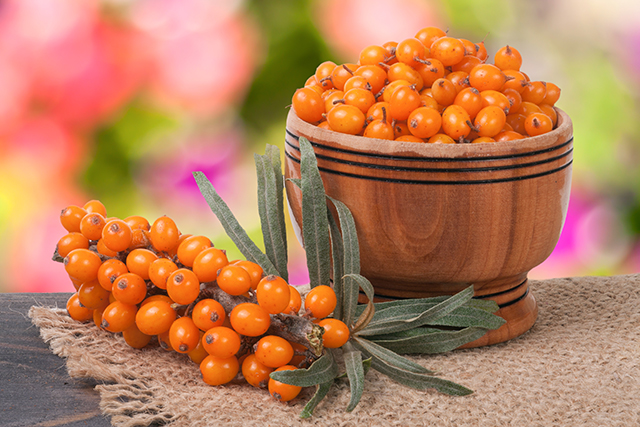 Sea buckthorn protects your heart, offers antioxidant health benefits