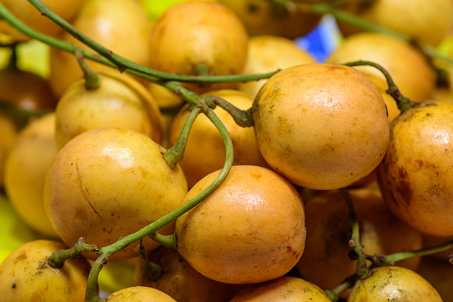 Why are many scientists calling the Burmese grape the next superfood?