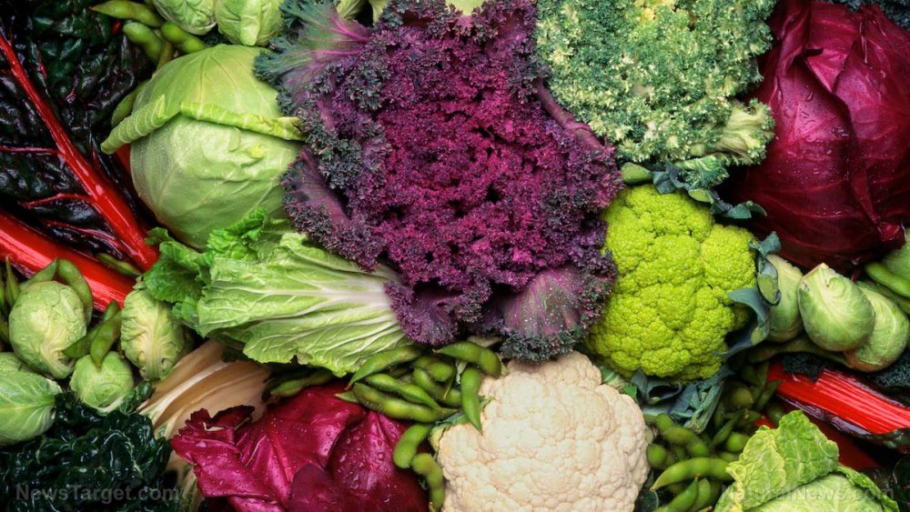 Natural chemicals produced by vegetables like kale and broccoli help maintain a healthy gut and prevent colon cancer
