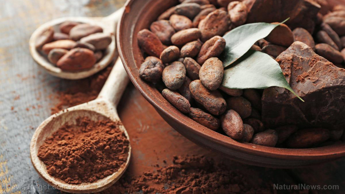 Cocoa provides strong protection against the influenza virus