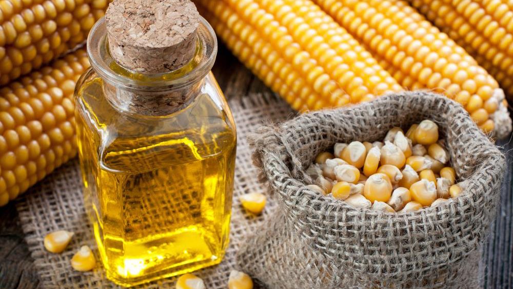 Peer-reviewed study looks at the differences between GMO corn and its natural, non-GMO counterpart
